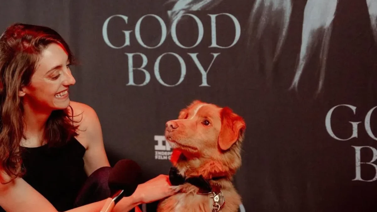 400 días en tres años fueron necesarios para rodar Good Boy, donde la cámara se convirtió en los propios ojos del perro.