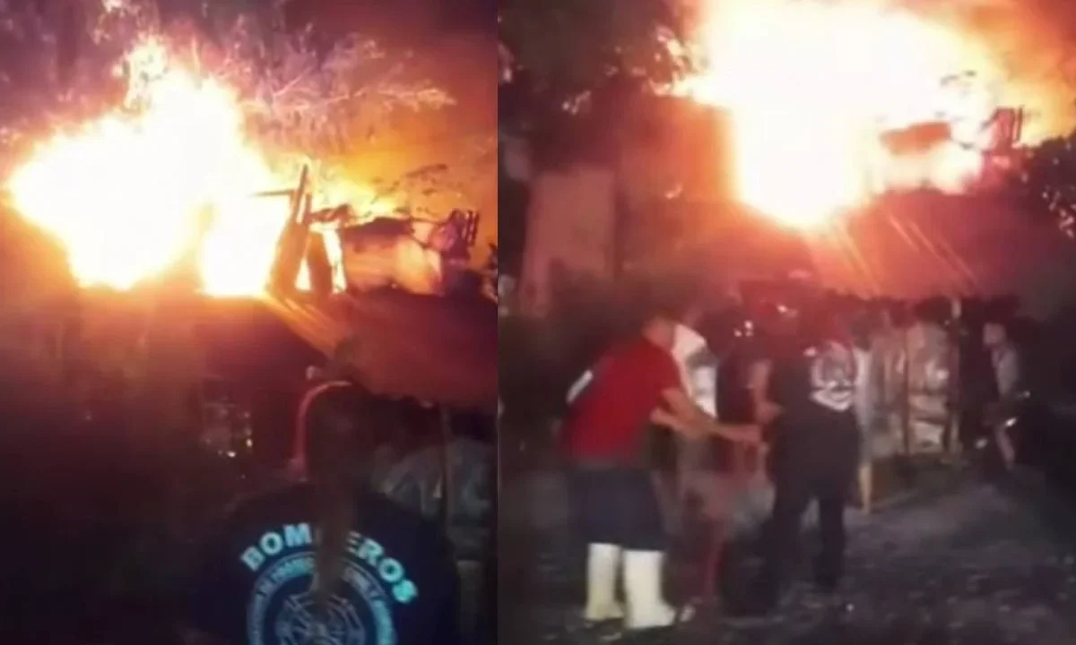 Incendio consume refugio de animales en Nayarit, algunos no lograron sobrevivir
