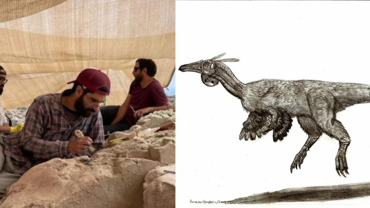 Paleontólogos hallan supuesto huevo de dinosaurio en perfecto estado