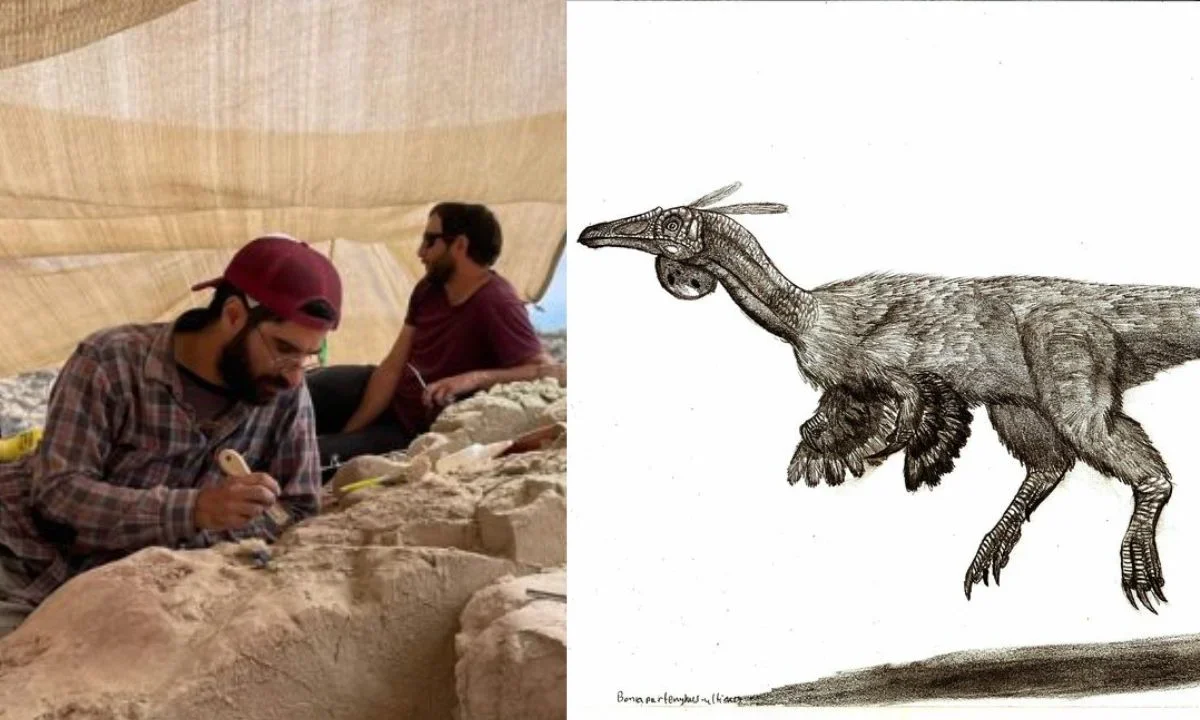 Paleontólogos hallan supuesto huevo de dinosaurio en perfecto estado
