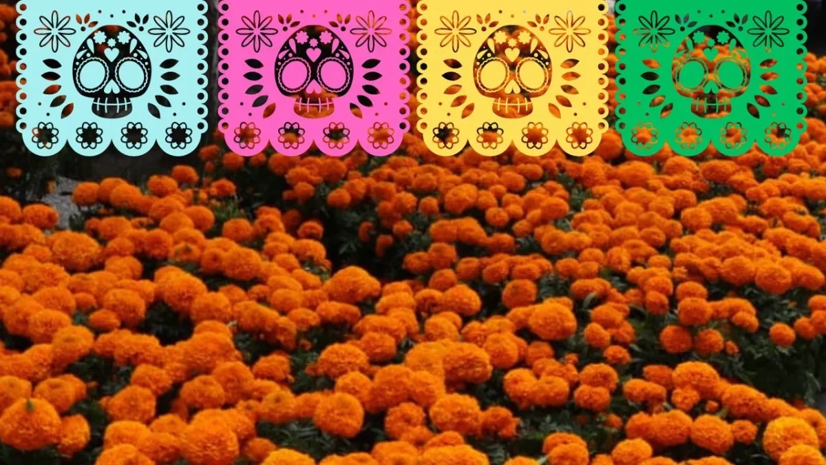 El papel picado y las flores de cempasúchil no son simples adornos, sino que representan la vida que trasciende la muerte