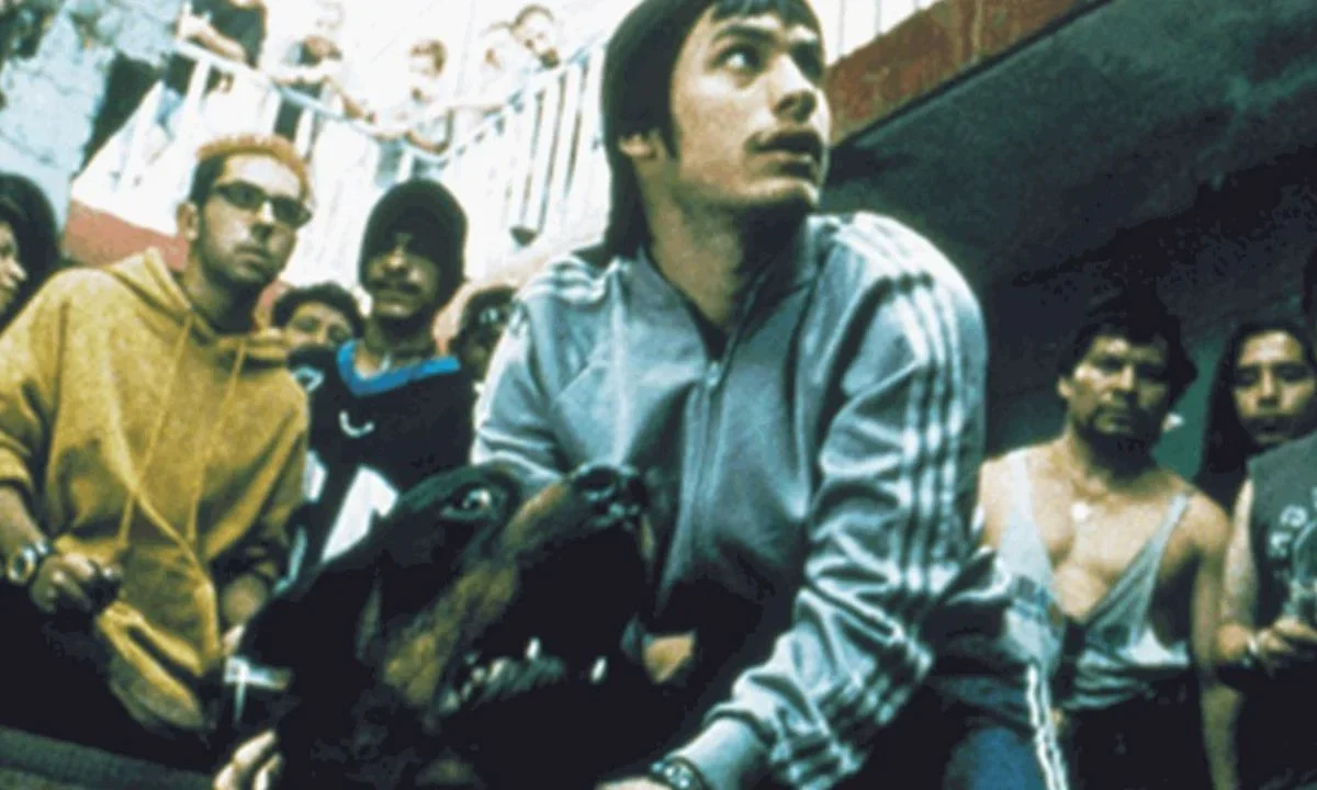 Amores perros