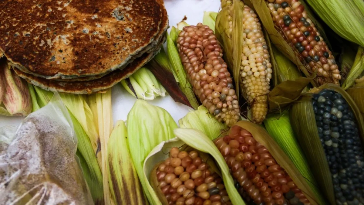 Productores del Bajío firmaron un acuerdo con el Gobierno federal para recibir un apoyo de 950 pesos por cada tonelada de maíz vendida.