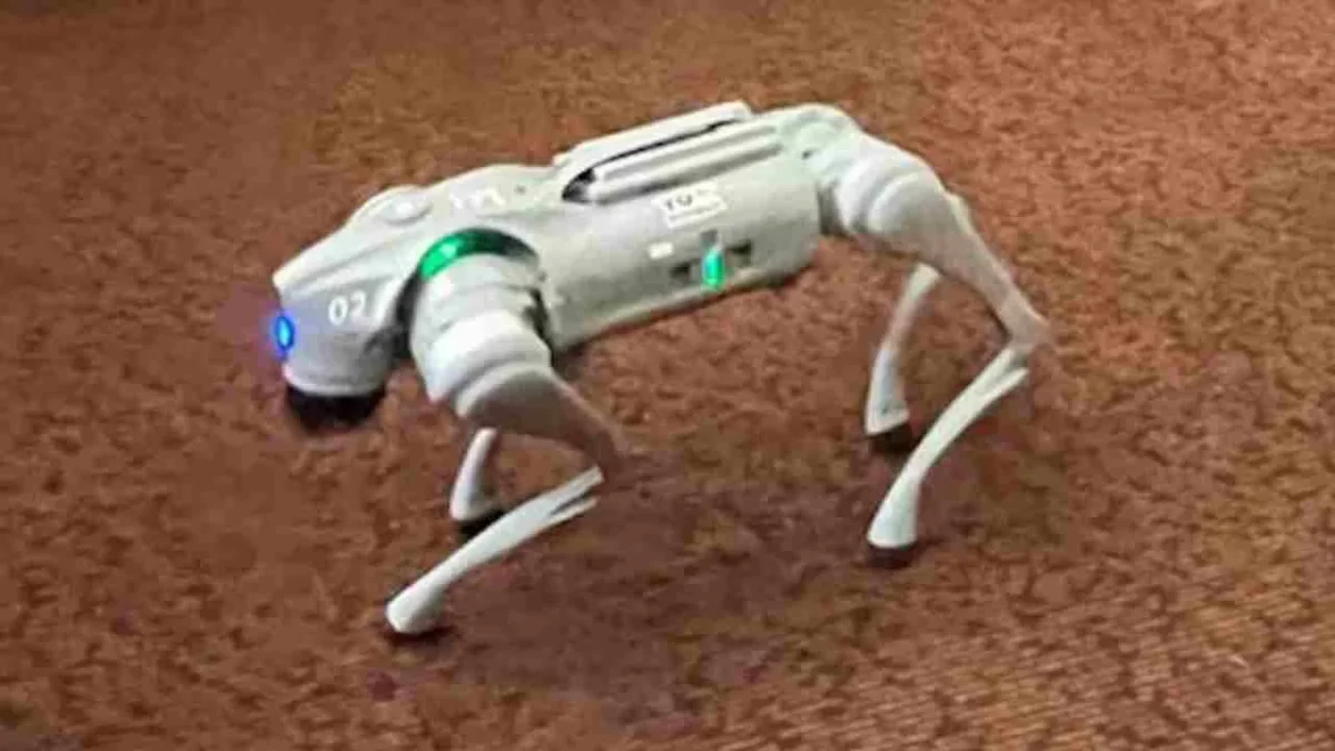 La BUAP presentó a Tommy Bot, un perro robot de búsqueda equipado con inteligencia artificial (IA).
