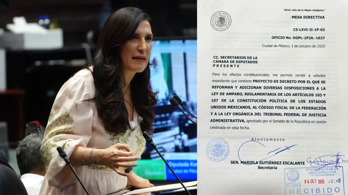 Kenia López Rabadán, Ley de Amparo