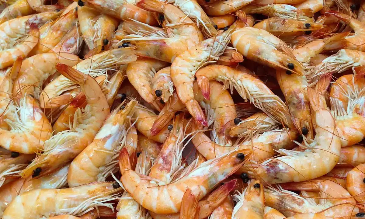 retiran paquetes de camarones radioactivos