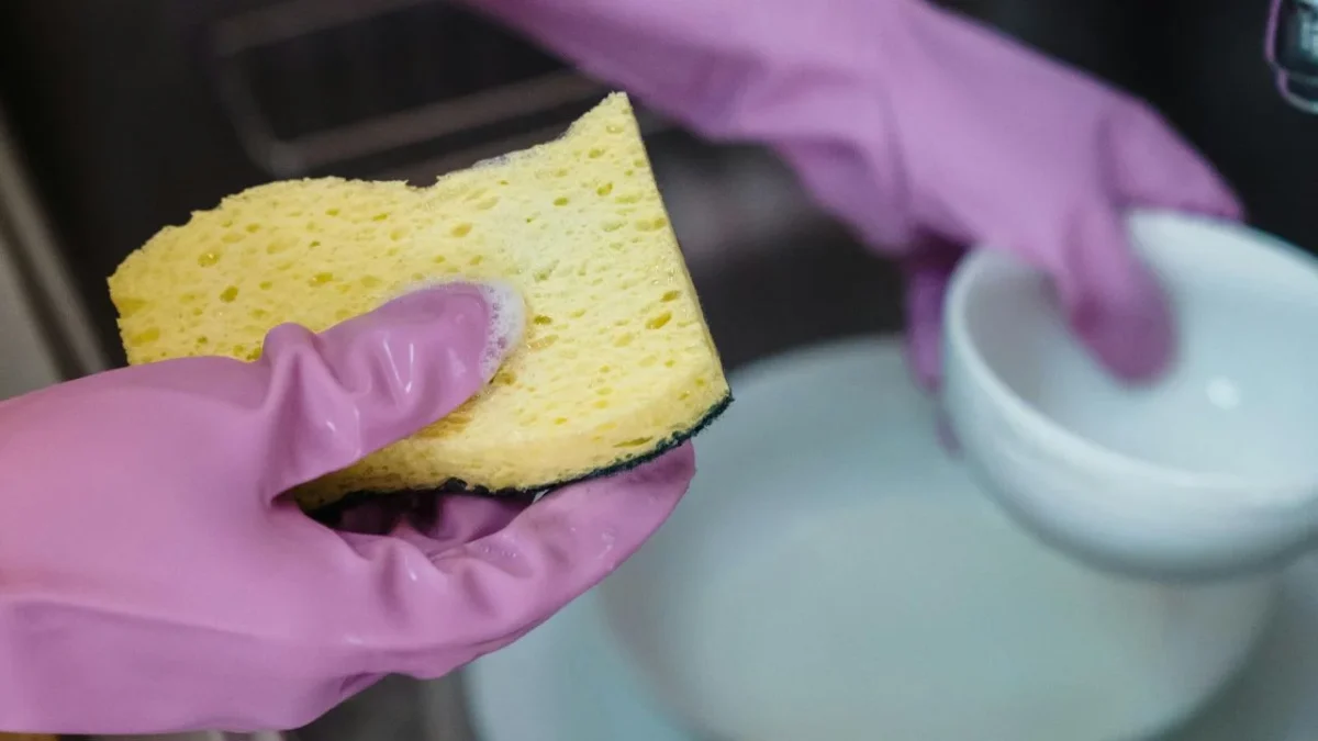Cuidado: Estas esponjas para trastes favorecen crecimiento de bacterias.