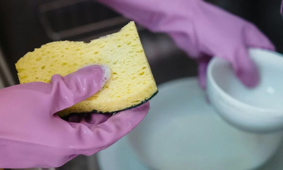 Cuidado: Estas esponjas para trastes favorecen crecimiento de bacterias.