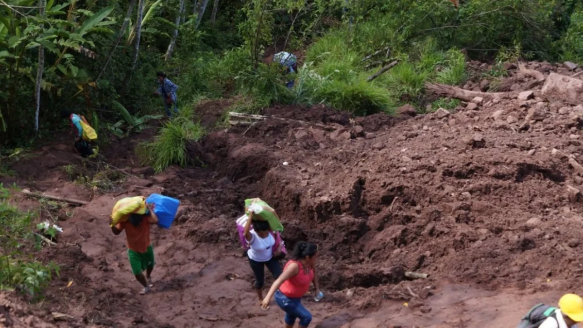 Autoridades trabajan para retirar tierra y rocas tras el derrumbe en la carretera Toluca-Ciudad Altamirano, en Temascaltepec.