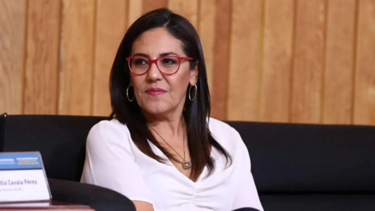 La consejera del INE, Claudia Zavala, presentó de forma virtual el Cuaderno 48 sobre democracia y gobernanza criminal.