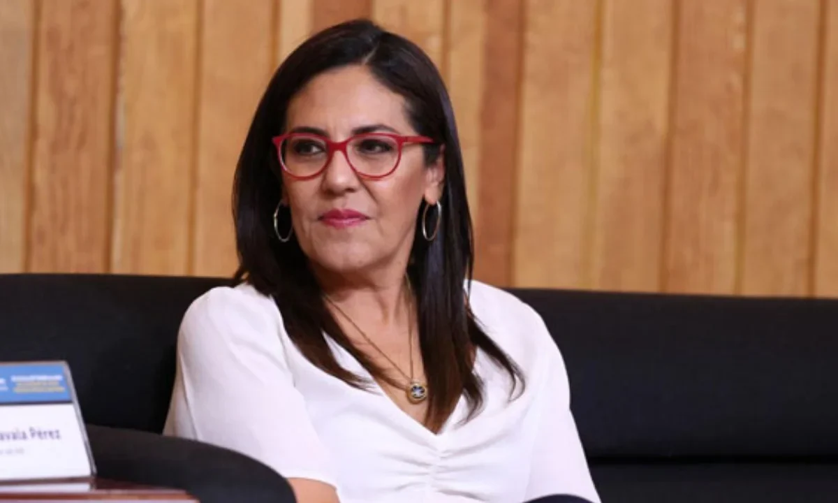 La consejera del INE, Claudia Zavala, presentó de forma virtual el Cuaderno 48 sobre democracia y gobernanza criminal.