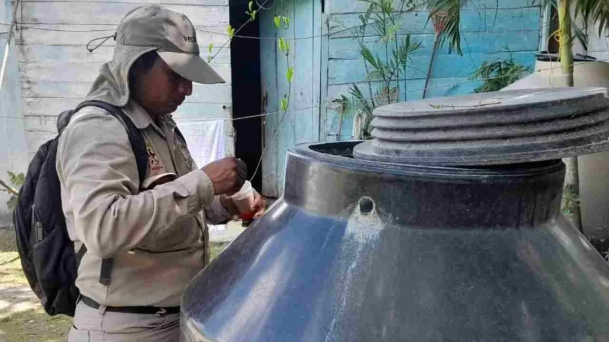 Eliminan más de 497 mil criaderos de mosquitos con control larvario, para el combate al dengue en Campeche.