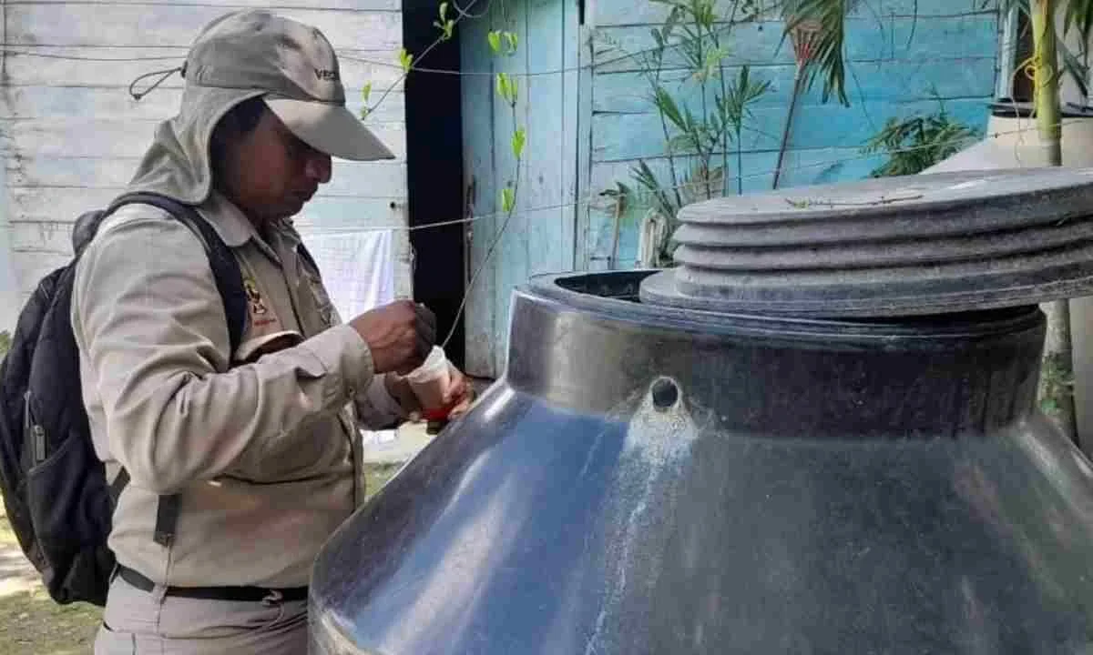 Eliminan más de 497 mil criaderos de mosquitos con control larvario, para el combate al dengue en Campeche.