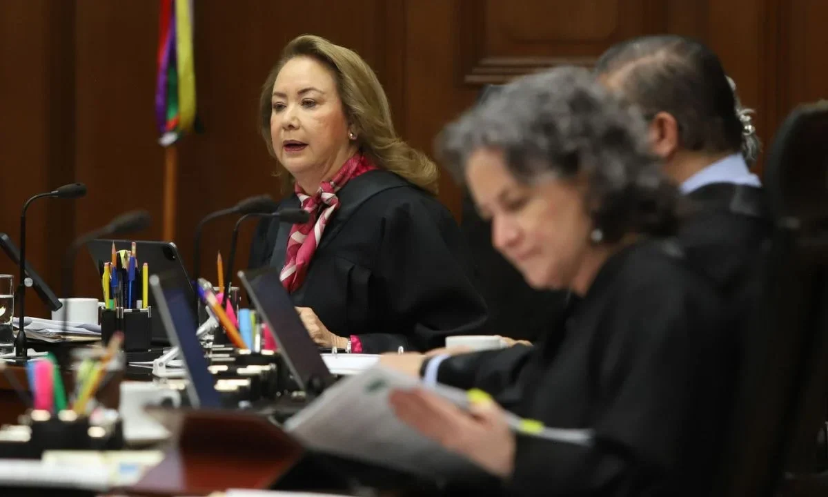 El proyecto aplazado por la SCJN analiza si las organizaciones civiles pueden combatir mediante amparos los daños ambientales.