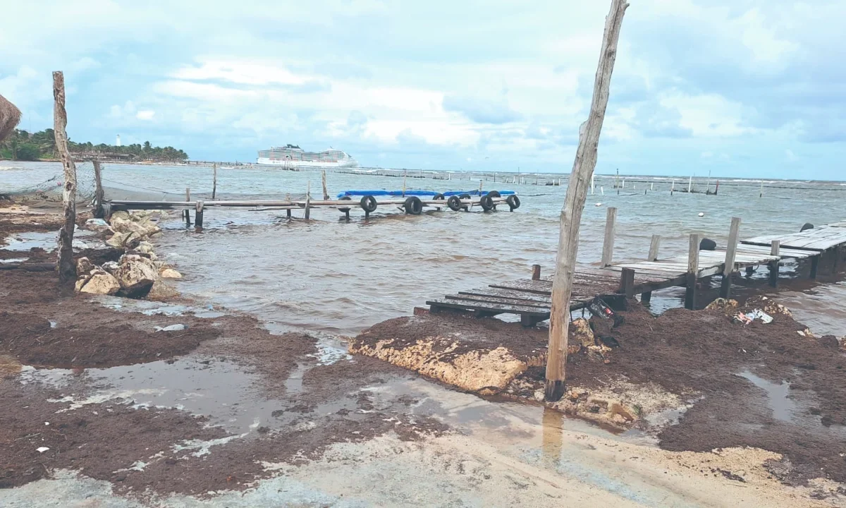 El malecón de Mahahual presenta adoquines rotos y luminarias apagadas, reflejo del deterioro que afecta al puerto turístico.