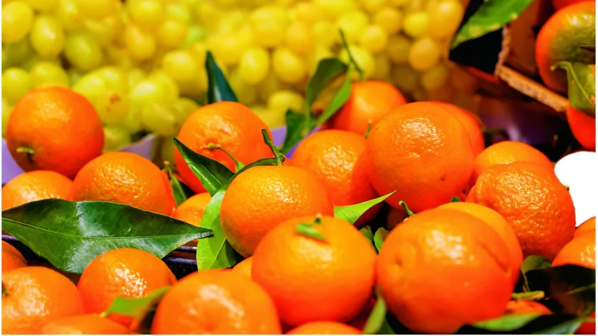 La producción de mandarina de este año en México se estima en los mil 300 millones de pesos, cifra similar a la alcanzada en 2024.