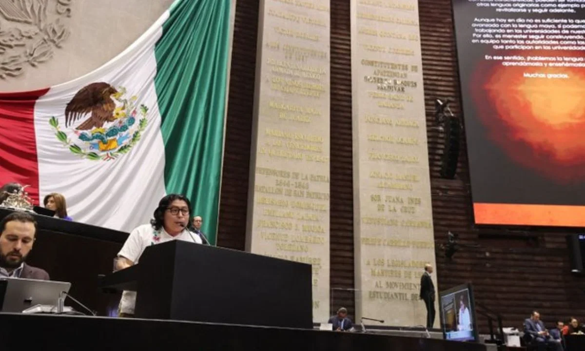 Luego de que la Cámara de Diputados lo avalara, la oposición acusó que la Cuenta Pública 2023 tiene 'el sello' de La Barredora.