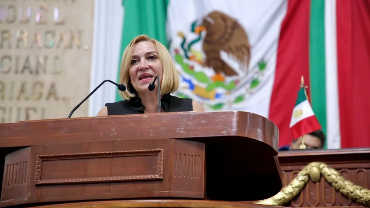 Olivia Garza, PAN CDMX