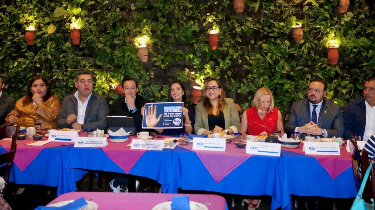 PAN desestima un declive electoral, confían retener MH
