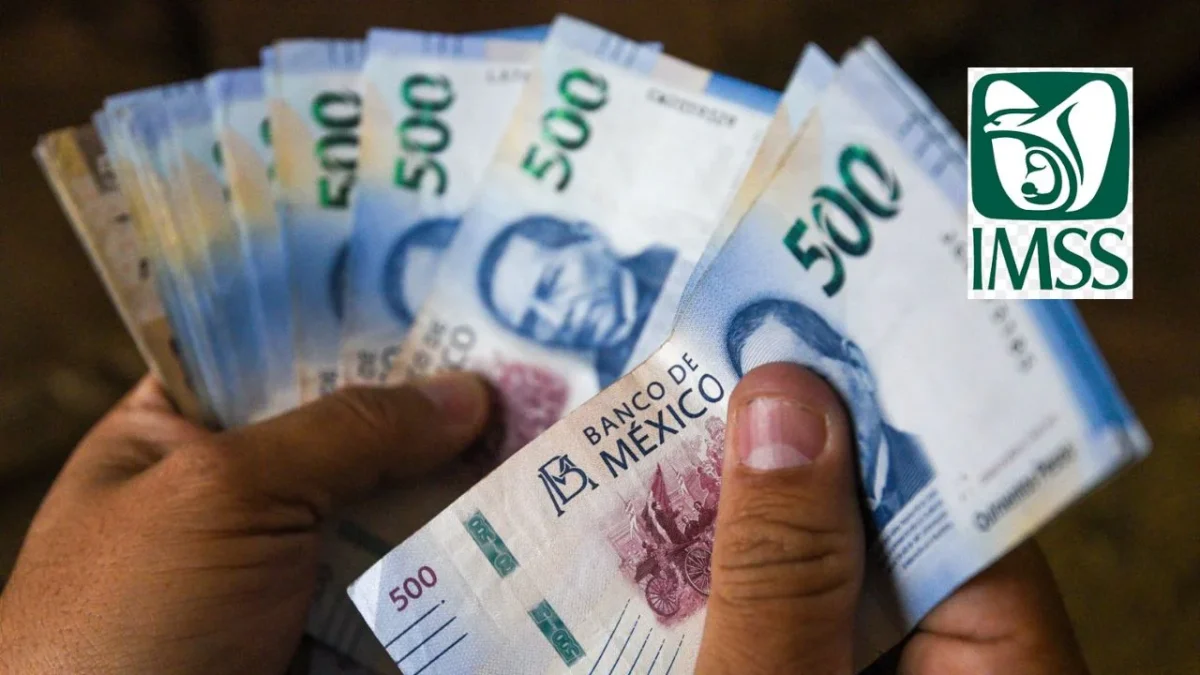 Pensión IMSS: Estás personas no recibirán aguinaldo a final del 2025.