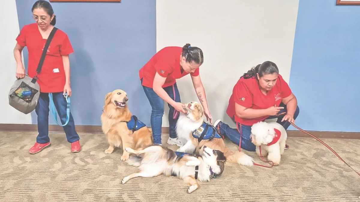 Perros ayudan a pacientes oncológicos dentro del programa 'Juntos es Mejor' del Cenatac