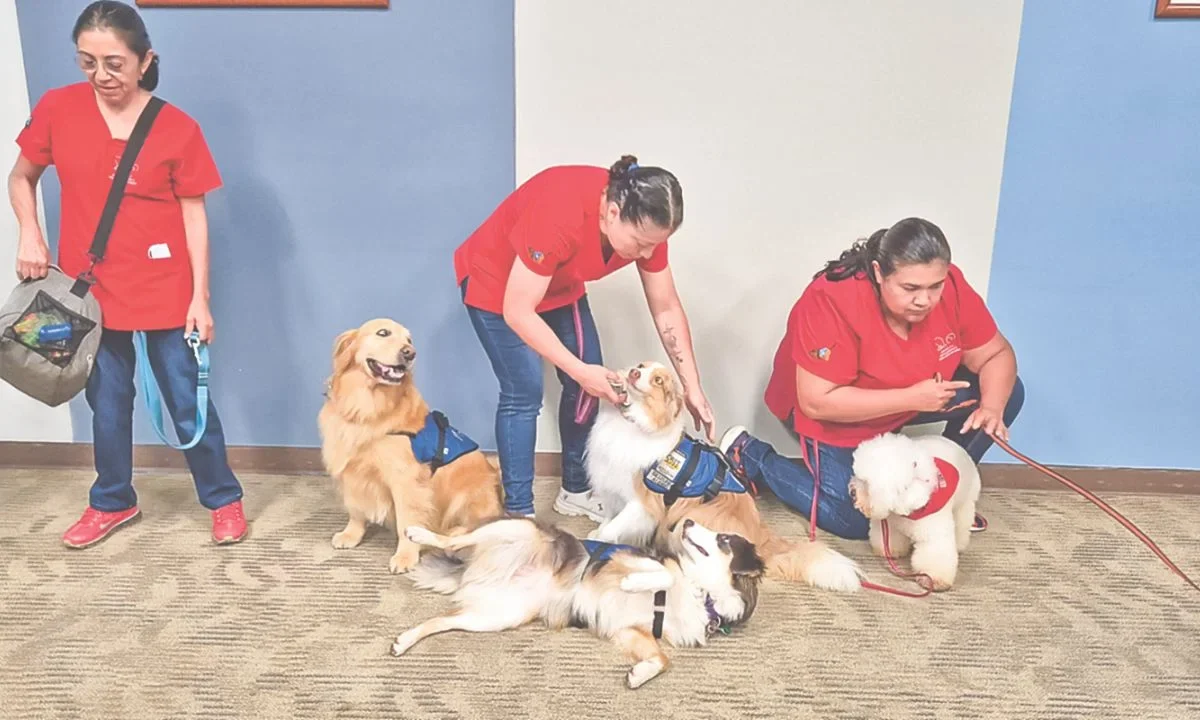Perros ayudan a pacientes oncológicos dentro del programa 'Juntos es Mejor' del Cenatac