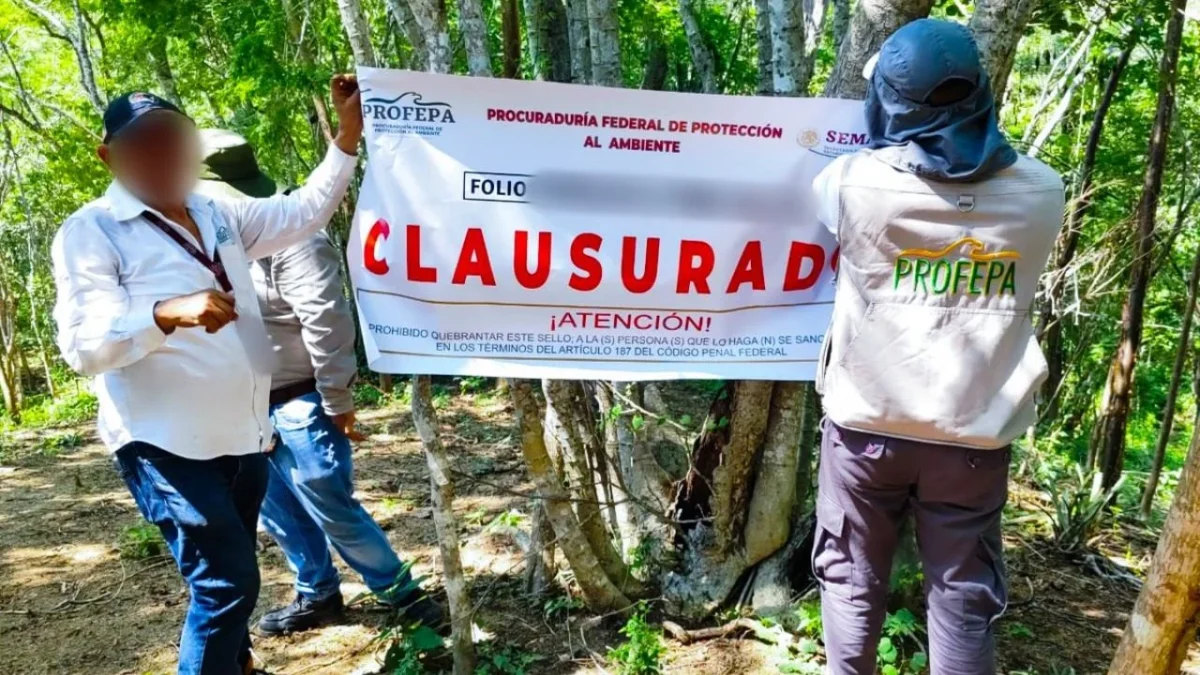 La Profepa realizó la clausura al detectar obras en Huatulco sin las autorizaciones correspondientes en materia de impacto ambiental.