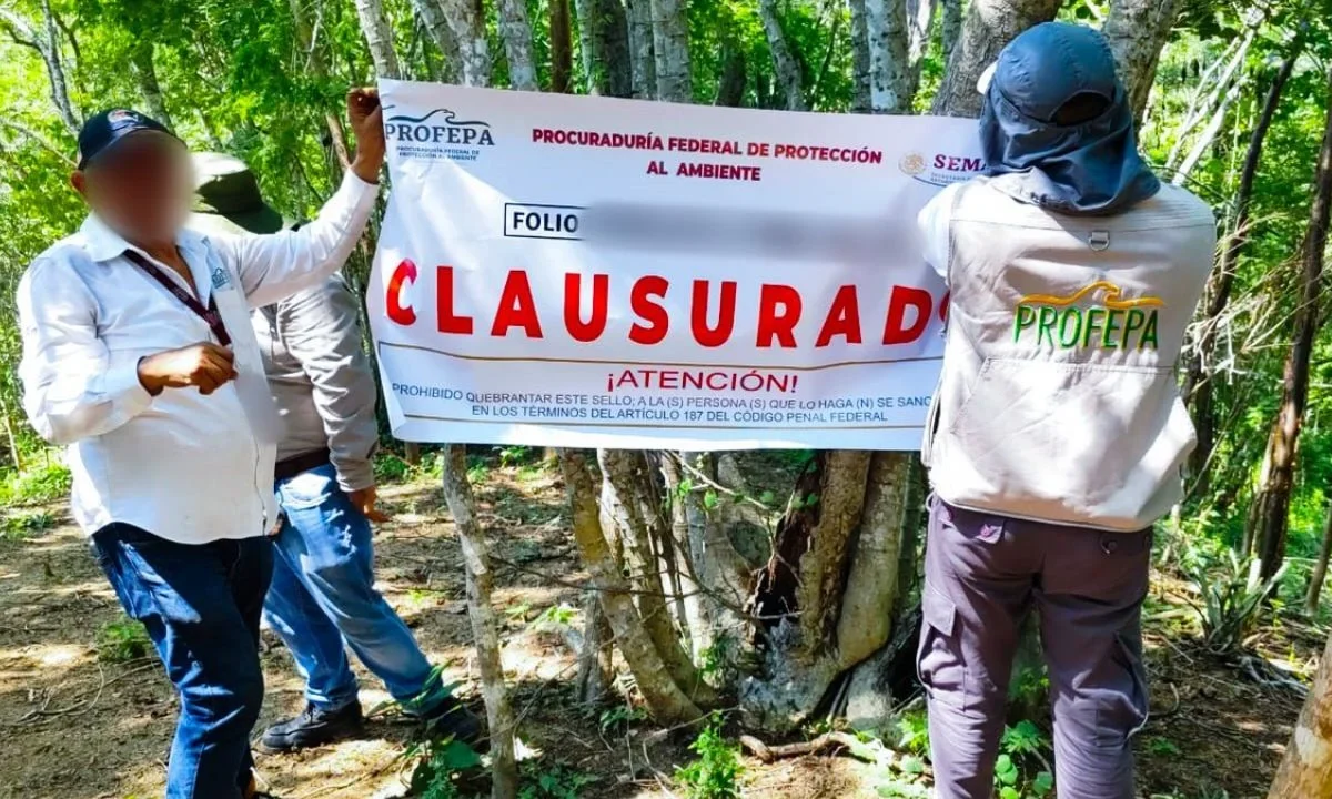 La Profepa realizó la clausura al detectar obras en Huatulco sin las autorizaciones correspondientes en materia de impacto ambiental.
