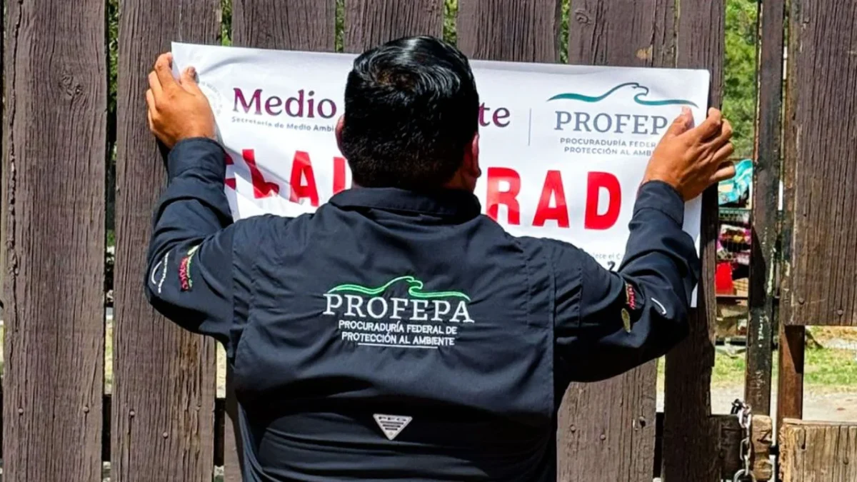 La clausura de La Pastora en Nuevo León se da por incumplir con la normatividad en materia de bienestar animal en el caso de Mina.