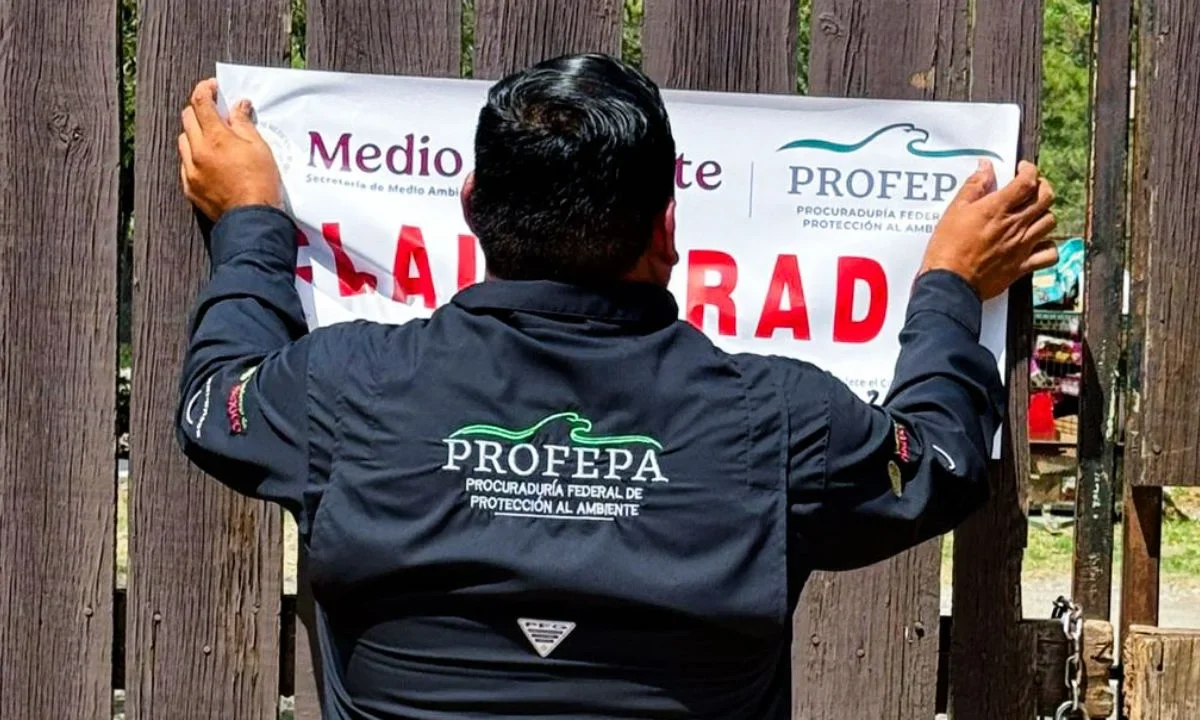 La clausura de La Pastora en Nuevo León se da por incumplir con la normatividad en materia de bienestar animal en el caso de Mina.