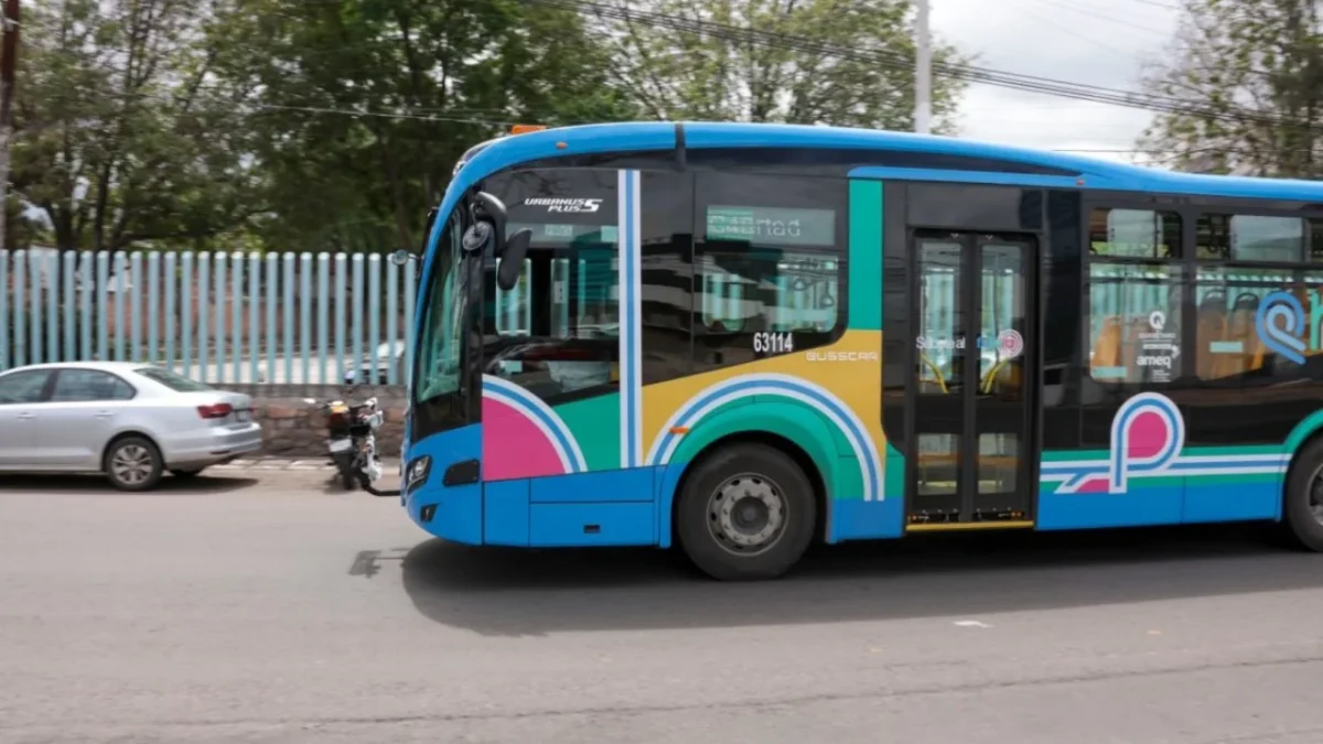 El programa “Qrobús Pet Friendly” permite el acceso de mascotas en unidades del transporte público de Querétaro.