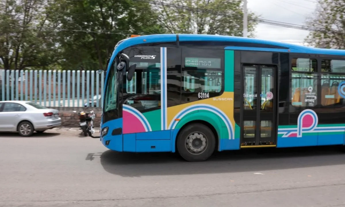 El programa “Qrobús Pet Friendly” permite el acceso de mascotas en unidades del transporte público de Querétaro.