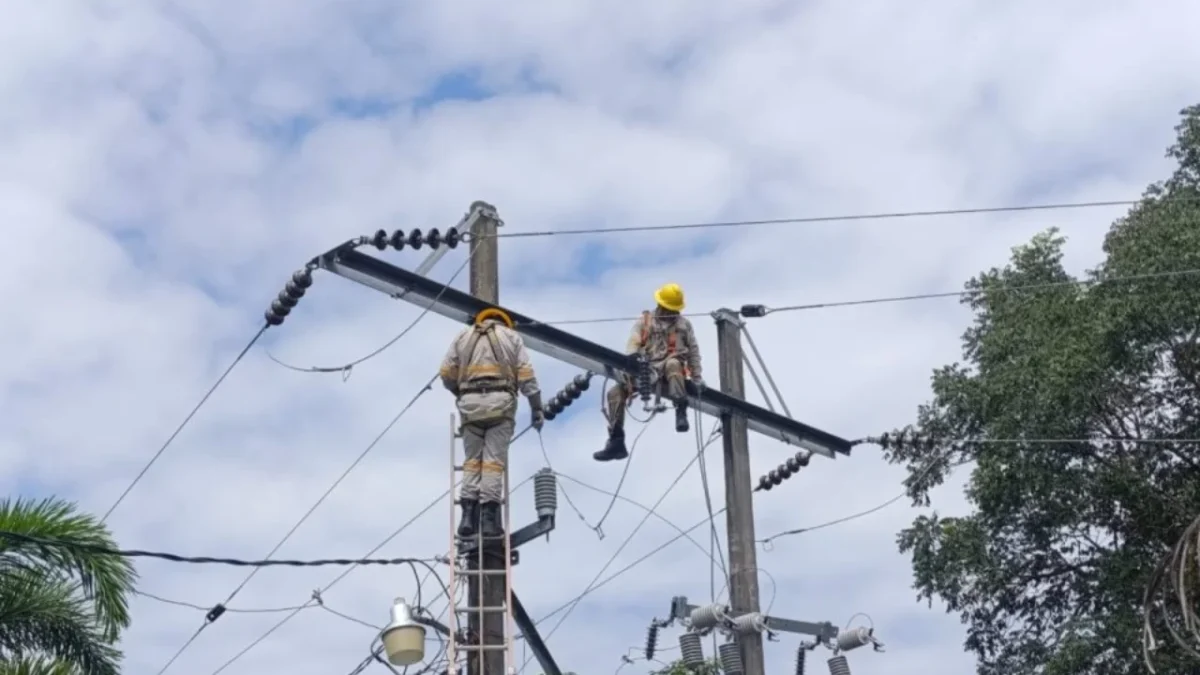 Emilia Calleja, directora de la CFE, supervisa trabajos para restablecer el suministro eléctrico en las entidades afectadas por lluvias.