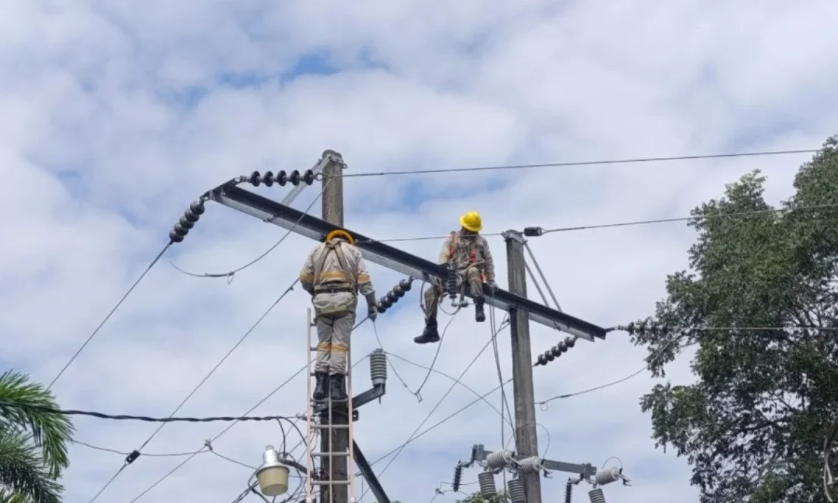 Emilia Calleja, directora de la CFE, supervisa trabajos para restablecer el suministro eléctrico en las entidades afectadas por lluvias.