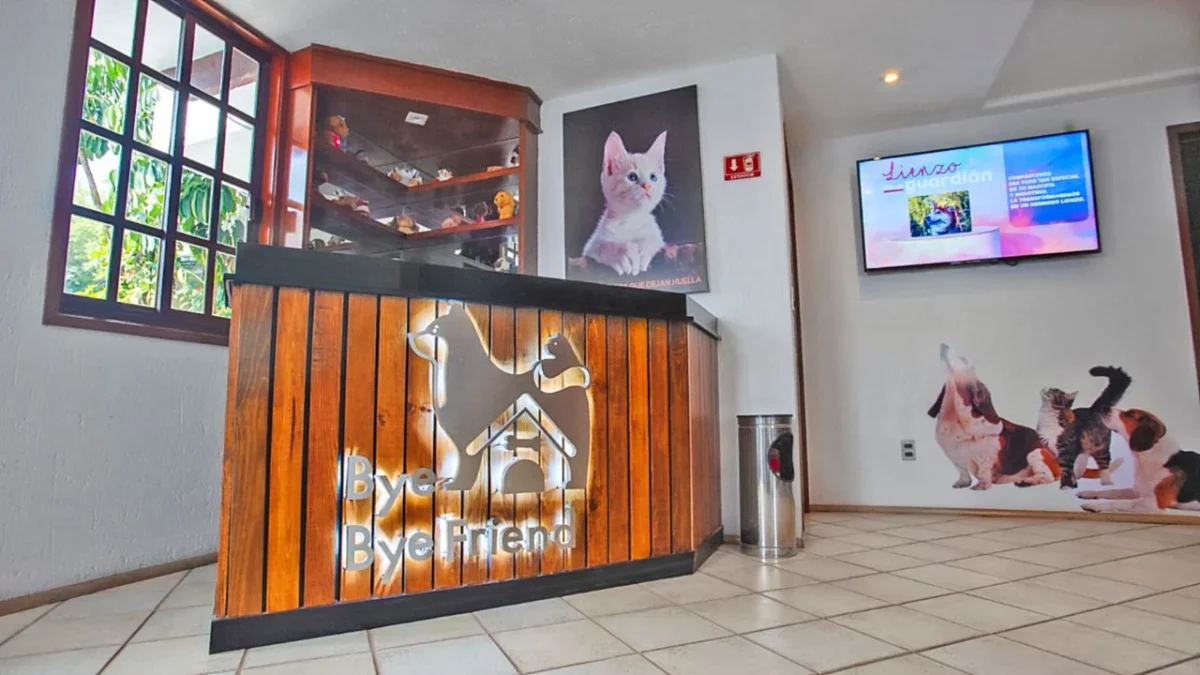 Bye Bye Friend, santuario de mascotas, Días de Muertos