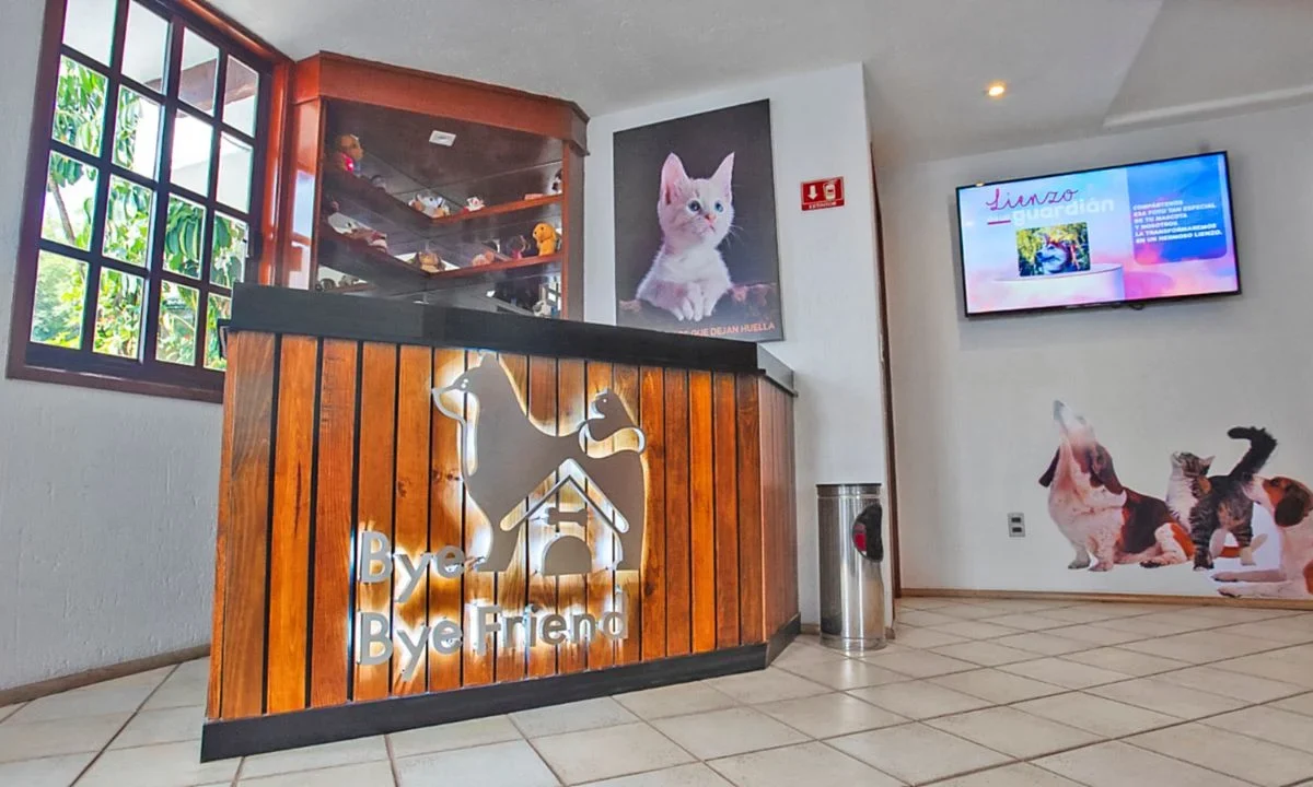 Bye Bye Friend, santuario de mascotas, Días de Muertos
