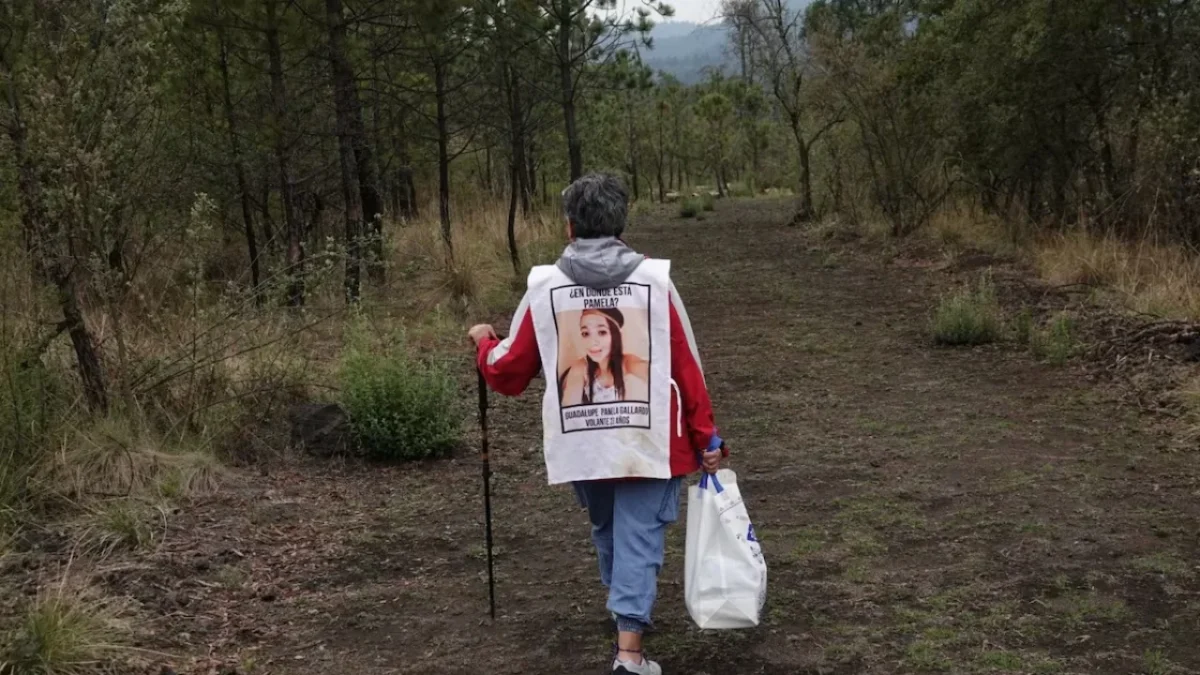 La diputada panista Lizzette Salgado exigió resultados sobre la búsqueda de desaparecidos y la estrategia de seguridad en el Ajusco.