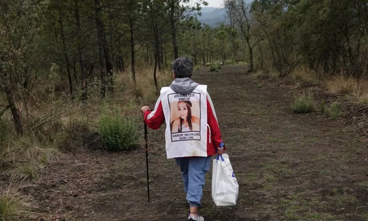 La diputada panista Lizzette Salgado exigió resultados sobre la búsqueda de desaparecidos y la estrategia de seguridad en el Ajusco.