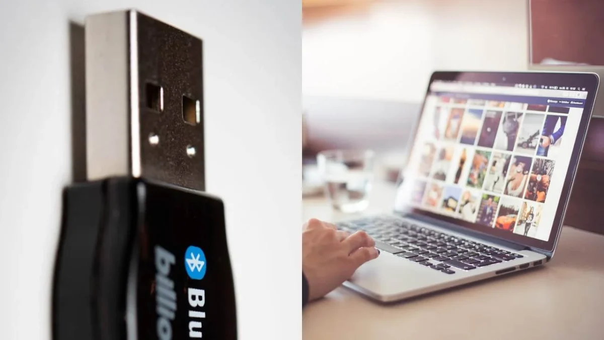 USB o Nube: ¿Cuáles son las ventajas de cada una? Aquí te decimos.