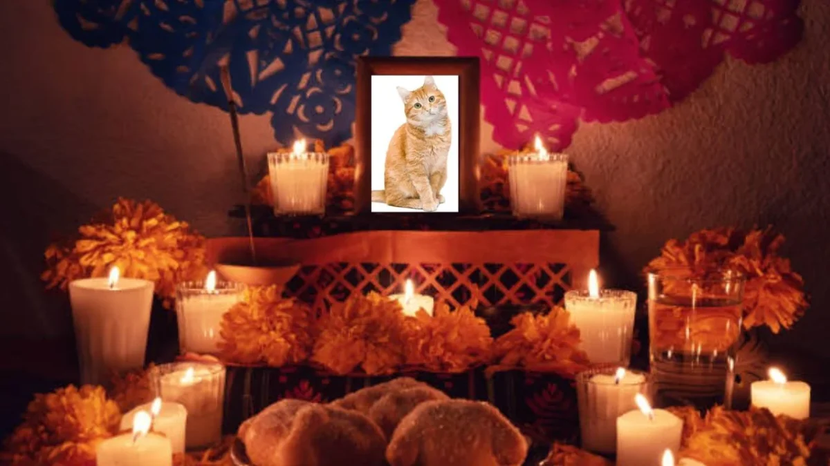 Las ofrendas para mascotas reflejan el profundo afecto que los humanos sienten por sus animales, y reafirman que el Día de Muertos no solo honra a las personas