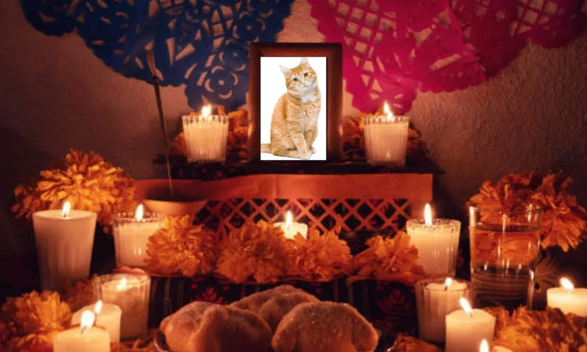 Las ofrendas para mascotas reflejan el profundo afecto que los humanos sienten por sus animales, y reafirman que el Día de Muertos no solo honra a las personas