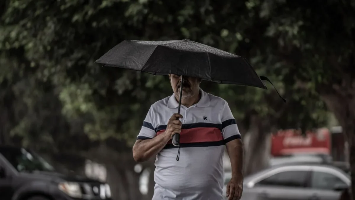 ¿Se acerca el frente frío número 8? Checa el clima para hoy