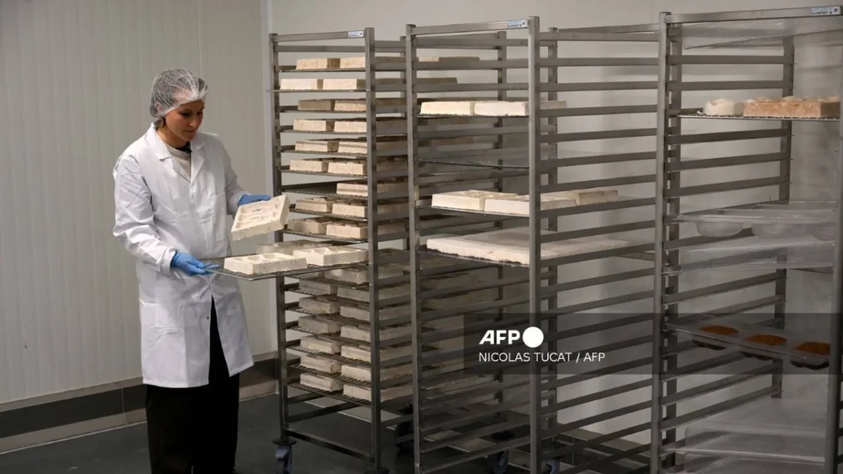COFEPRIS publica en el DOF acuerdo para simplificar trámites en materia de químicos