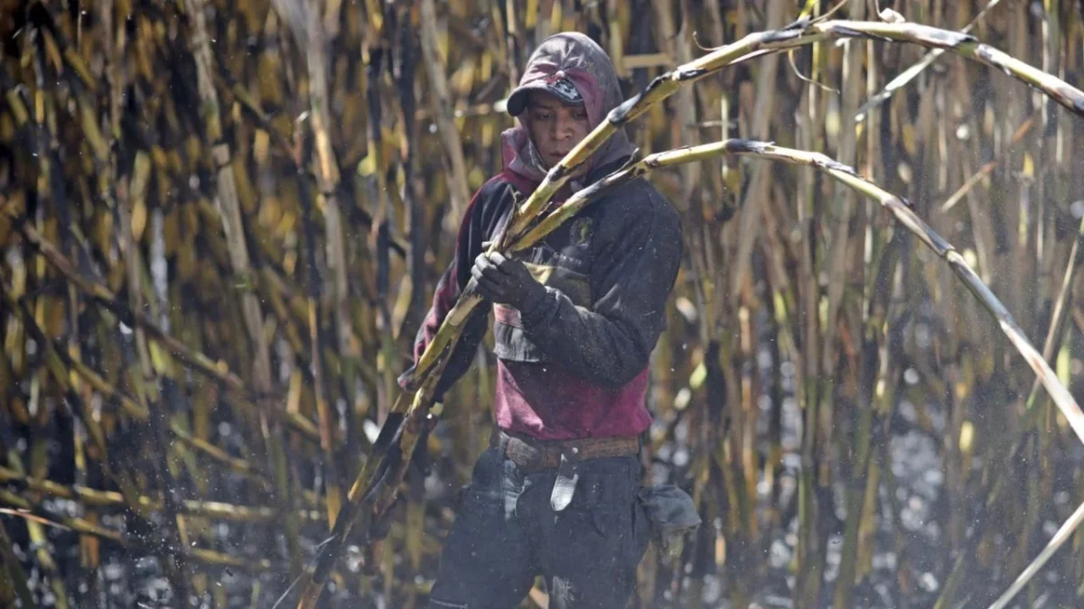 Cañeros suman varias horas de protestas frente a la Secretaría de Agricultura