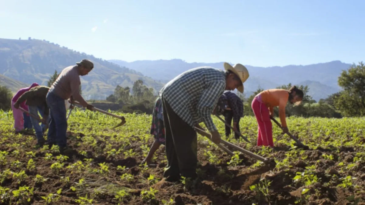 Ramírez Mendoza destacó que el reto de la economía rural está en movilizar a las comunidades como actores productivos