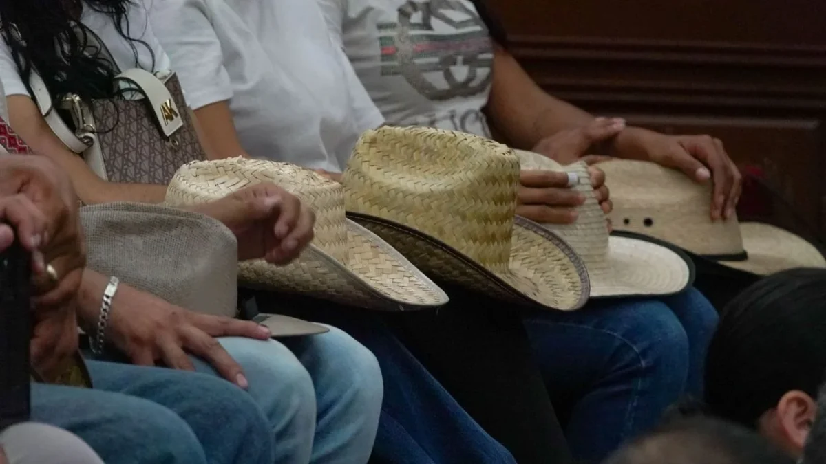 Movimiento Ciudadano pide desaparición de Poderes en Michoacán