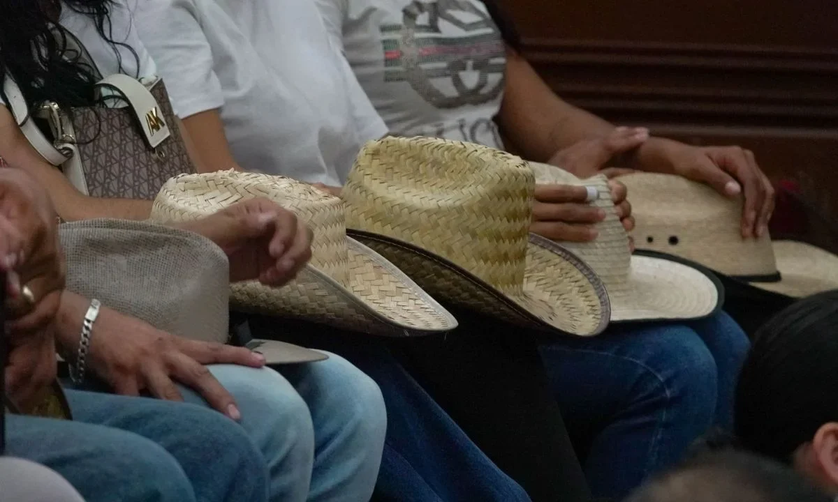 Movimiento Ciudadano pide desaparición de Poderes en Michoacán