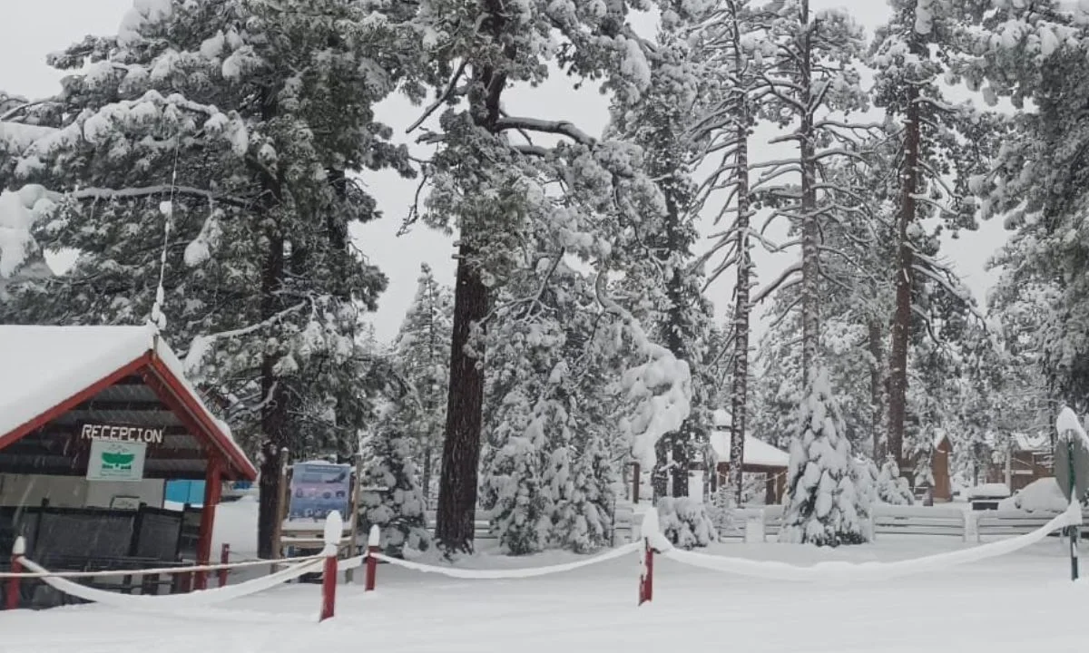 La nevada Parque Nacional Sierra de San Pedro Mártir confirma el inicio de la temporada invernal en la sierra bajacaliforniana