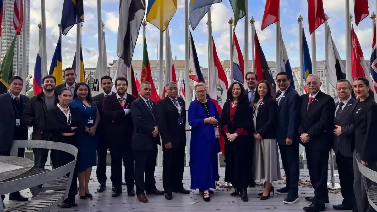 Consejo de la Organización Marítima Internacional
