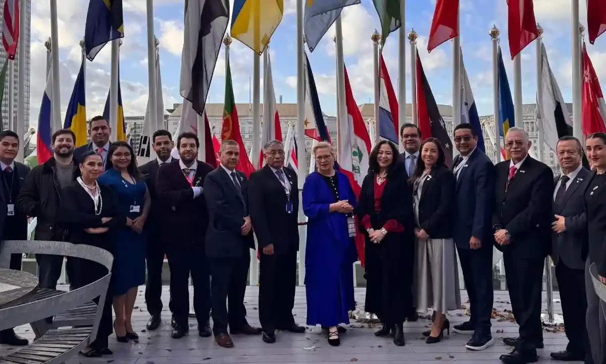 Consejo de la Organización Marítima Internacional